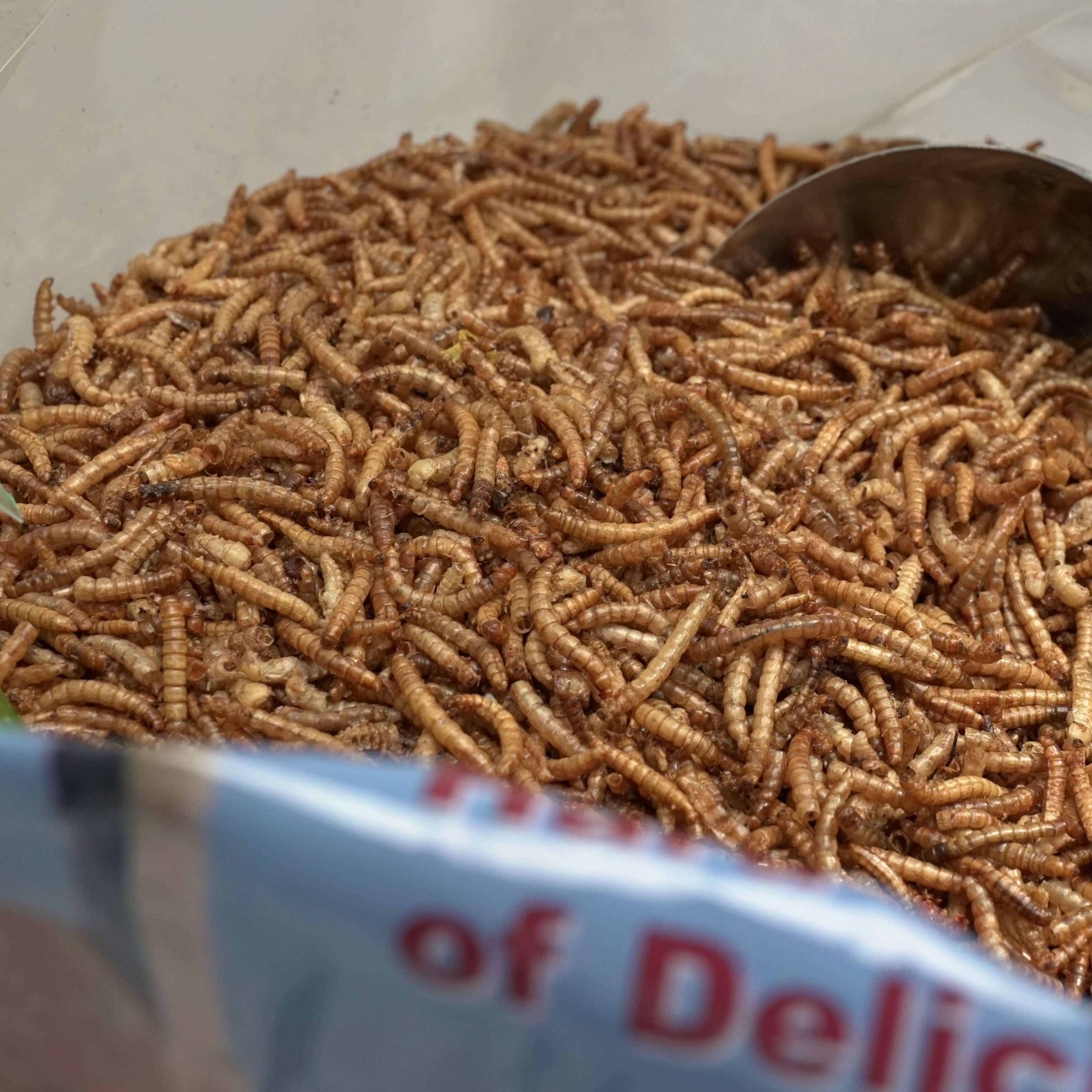 40 lb UCM Dried Mealworms