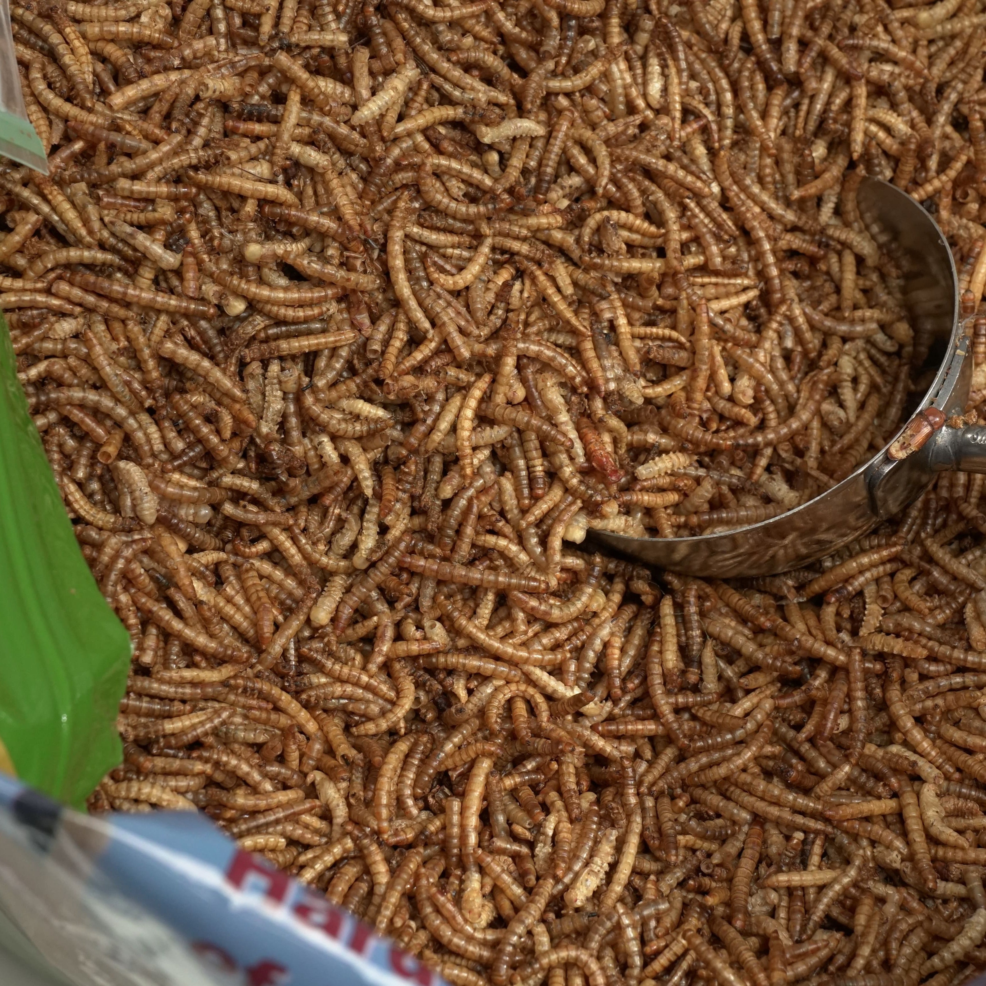 100 lb UCM Dried Mealworms