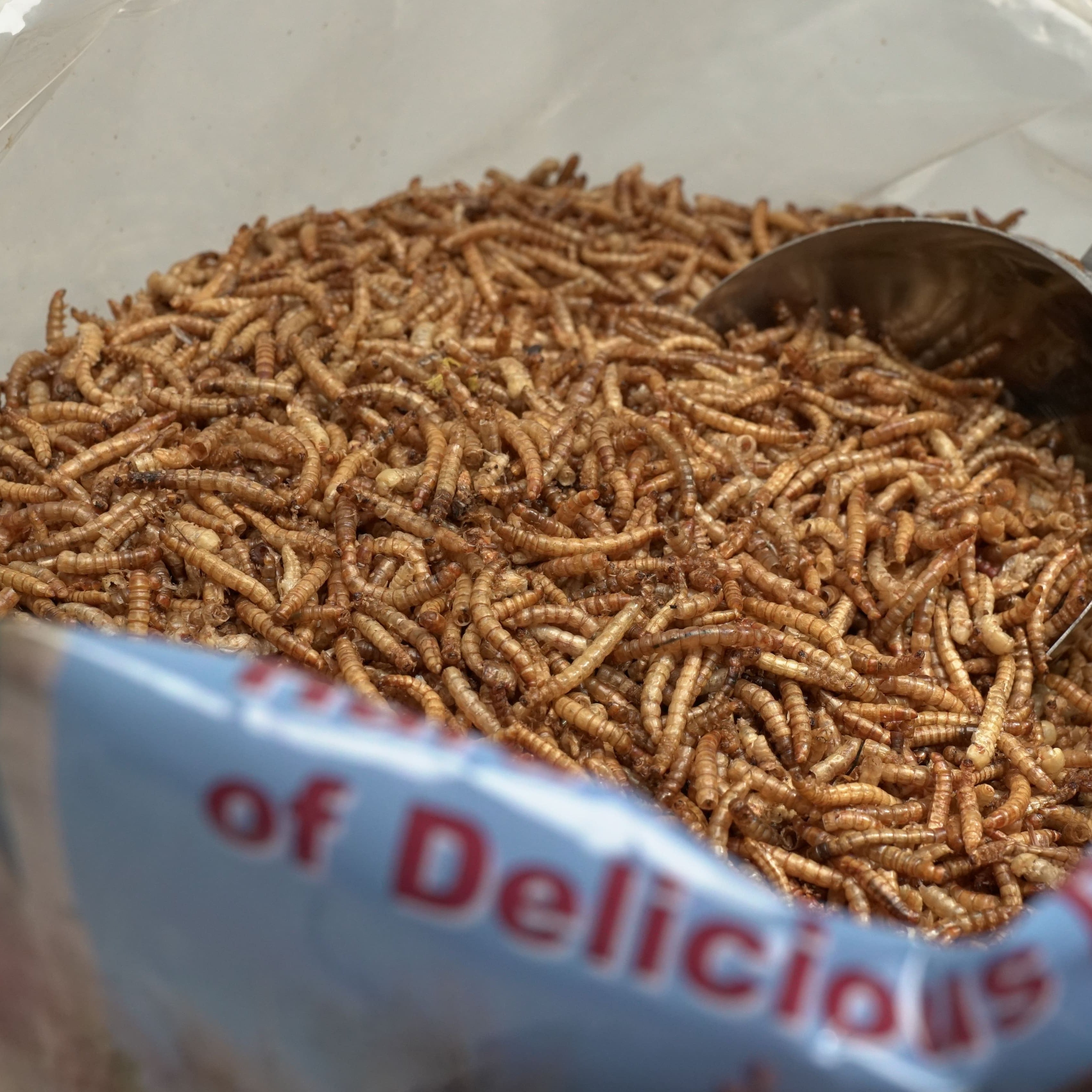 40 lb UCM Dried Mealworms